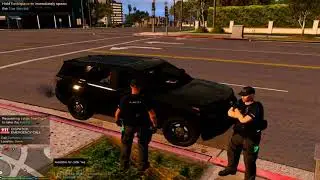 GTA5   LSPDFR   I lose 2 partners in one shift