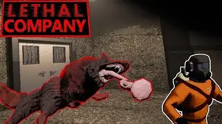 ЛИСА ТАЩИТ / 4D Кооп в LETHAL COMPANY (v56)