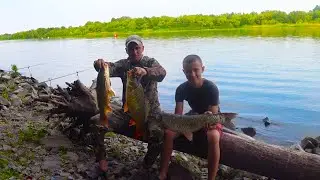РЫБАЛКА НА ДОНУ , ЛОВЛЯ САЗАНА И АМУРА !!!!