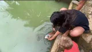 FIQUEI MUITO TRISTE  😢 A CARPA MORREU.