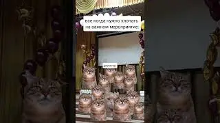 Мой тгк:mem happy💥💅 #мем#мемныекоты#смешныевидео #жиза#врек#врекомендации#глобальныерекомендации