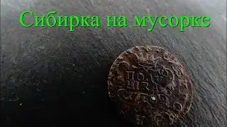 Полушка Сибирка на мусорке