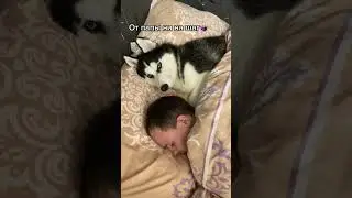 Это мой муж😅 