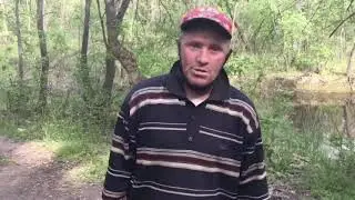 Шура смотрящий по лесу