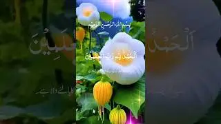 Quran verses  is Urdu translation and arbic #viral #duet #qurantranslation