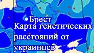 Полесский диалект украинского языка в Беларуси на Берестейщине