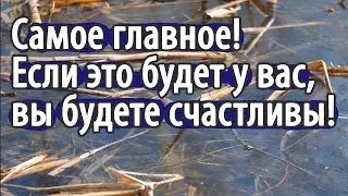Как обрести ДУШЕВНЫЙ МИР? Не раздражаться. Пестов