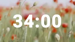 34 Minute Timer with Relaxing Music and Alarm, Countdown Clock for Stress Relief