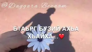 Мужу-Х1усам-Да🤍