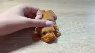 новости от нас/новый контент?/сквиши.