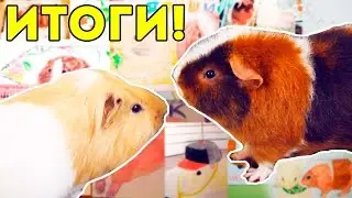 Морские Свинки Выбирают ПОБЕДИТЕЛЕЙ Конкурса Рисунков #1 / SvinkiShow