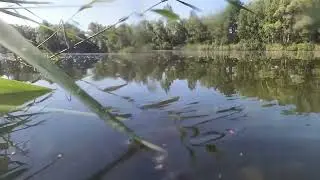 Kiesteich   HD 1080p