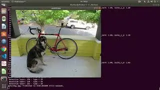 Yolov4 Install Test Local Ubuntu