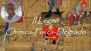 01 - ANTIQUARIA - Il Legno: Chimica-Fisica-Degrado