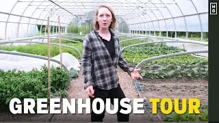 What's Growing In The Old Mill Greenhouse? Tour With Farm Manager Angie