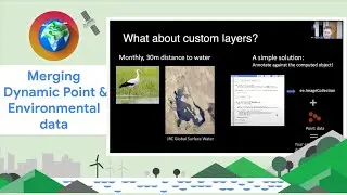 Merging dynamic point and environmental data using customized layers in Earth Engine 