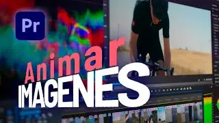 ¿Cómo usar y animar imágenes en Adobe Premiere Pro?