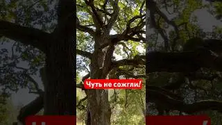 Чуть не сожгли исполнителя желаний!