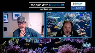Rappin' With ReefBum: Guest - Dr. Tim Hovanec, Dr. Tim's Aquatics