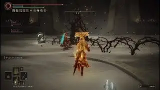 Elden Ring - Broken Boss Fight