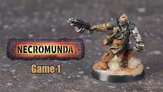 NEW Campaign!  4 Player Necromunda Ash Wastes Campaign