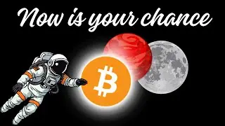 Bitcoin халвинг и биткоин прогноз, криптовалюта на 2024 год