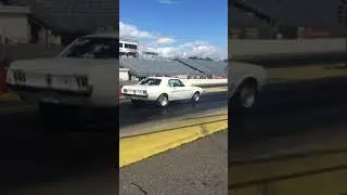 1967 Mustang license pass