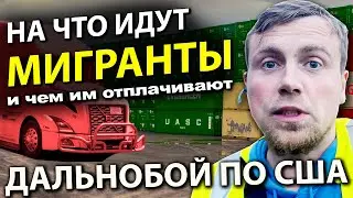 КАК ИСПОЛЬЗУЮТ МИГРАНТОВ | Опасная работа дальнобойщика в США | Работа на фуре в Америке