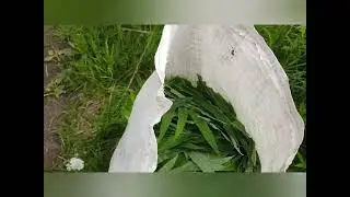 21 июля 2022 г.