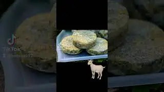 Пока ничего рассказывать не буду.  Просто наслаждайтесь видом☺️