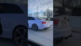 Audi S5 B8.5 Jackal tuned vs Genesis G70 JB4