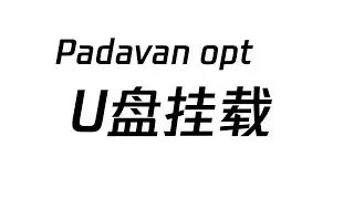 2021 万万没想到 hiboy 老毛子固件路由器需要插入U盘才能愉快 V2Ray 科学上网 | Padavan 老毛子固件翻墙路由器入门教程 U盘 ext4 格式化  | 系统 opt 挂载到 U盘