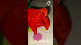 Students Love 2 | English Class | कमाल क्रिएटिव एजुकेशन | Marhaba Kamal Sir 2024