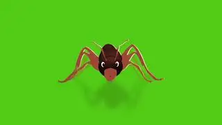 Ant Animation - Green Screen Video | 