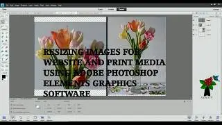 Resizing Images for Print Media and Website Using Adobe Photoshop Elements 11