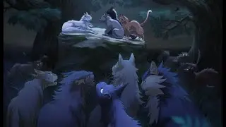 Коты Воители - Ведьмы