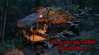 พาเต้มานอนกระต๊อบอายุง แต่ได้เสียงรอบๆที่พักชัดมาก