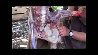 How I Butcher a Goat (not being a butcher...)