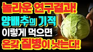 양배추의 놀라운 효능! / 이렇게 드세요! 당뇨, 비만, 온갖 성인병 싹 사라집니다! / 양배추의 힘 / 책읽어주는여자 [양배추 효능, 건강정보]