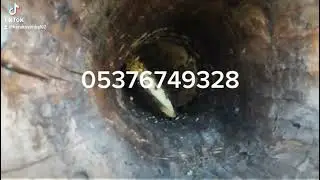 KÜTÜK KARAKOVAN BALI adem gündebahar