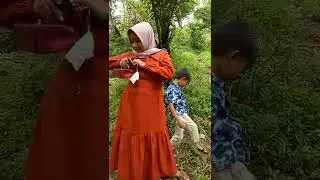 mengiringi 3 janda yg mau mencari pasangan katanya.... mipir pasir nyorang jungkrang..