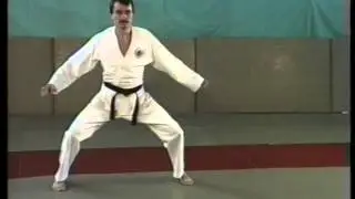 БУДО. Айкидо и Карате. Часть 3.