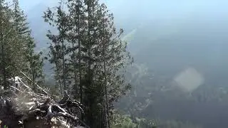 jnnn