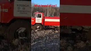 what brand of car?