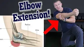 Restore Full Elbow Extension | Terminal Elbow Extension | Elbow Pain