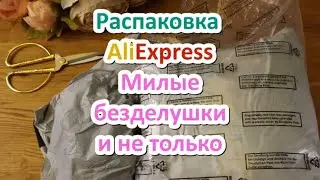 Распаковка Aliexpress || Милые безделушки и не только