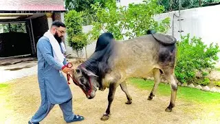 Finally Hamari Dosti Ho gai 😍
