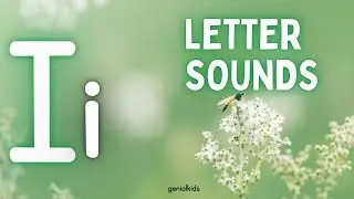 Phonics sound Ii