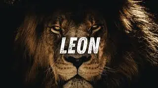 Old School Boom Bap Beat 