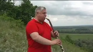 Реакция орлов на музыку дудука